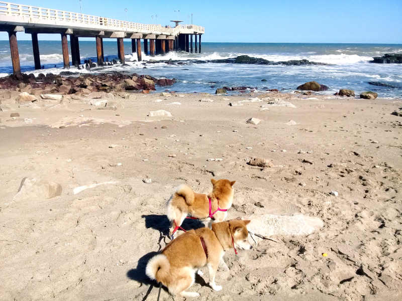 Muelle de pescadores de MIramar visto desde la arena.