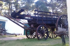 Antiguo gran carreton en el museo municipal "Punta Hermengo" de Miramar