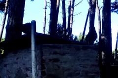 Ave sobre un fogon de las parrillas del vivero dunicola