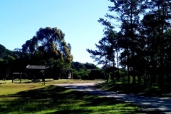 Hermoso cafe en el vivero de Miramar