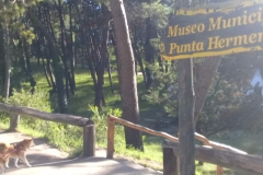 Bosque y cartel de entrada al museo municipal "Punta Hermengo"