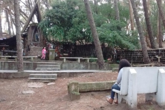 gruta-virgen-vivero-dunicola-miramar