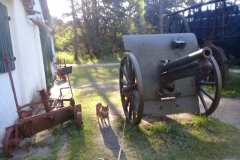 Este perrito quiere ser Napoleon? Arma en el museo municipal "Punta Hermengo"